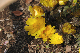 image0206