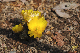 image0207