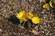 image0208