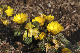 image0209