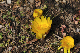 image0210