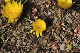 image0211