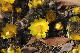 image0212