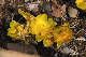 image0214