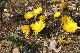 image0215