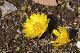 image0216
