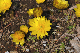 image0217