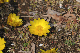 image0218