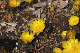 image0219