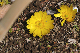 image0220