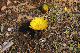 image0221