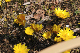 image0222