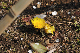 image0223