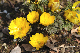 image0224