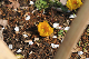 image0225