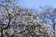 image0226