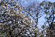 image0227