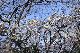 image0228