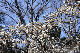 image0229