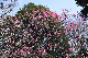 image0230