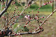 image0233