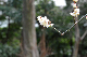 image0237