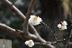 image0238