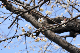 image0243