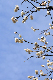 image0244