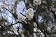 image0248