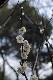 image0254