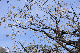 image0257