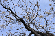 image0258