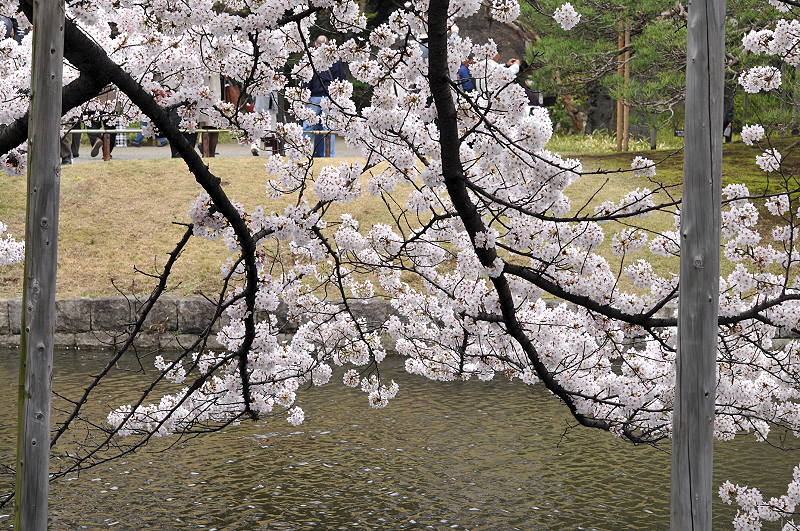 image0078