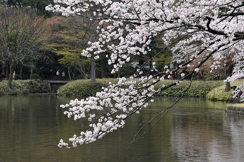 image0109