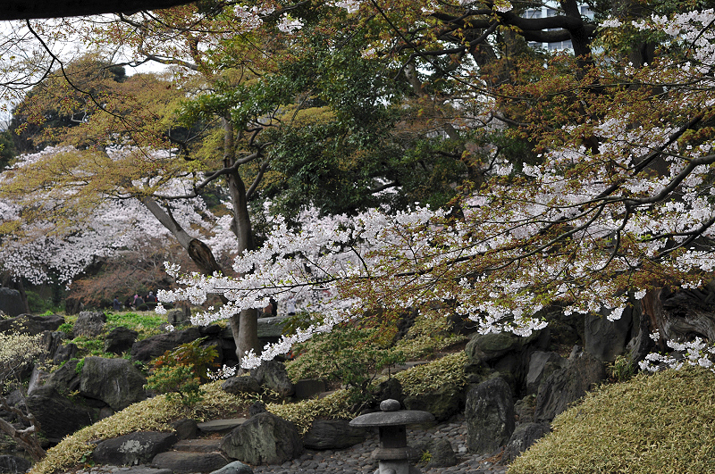 image0117