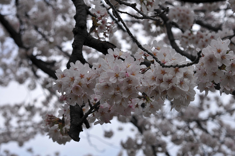 image0131