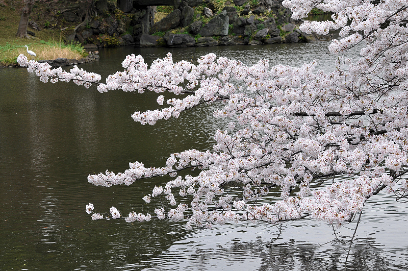 image0134
