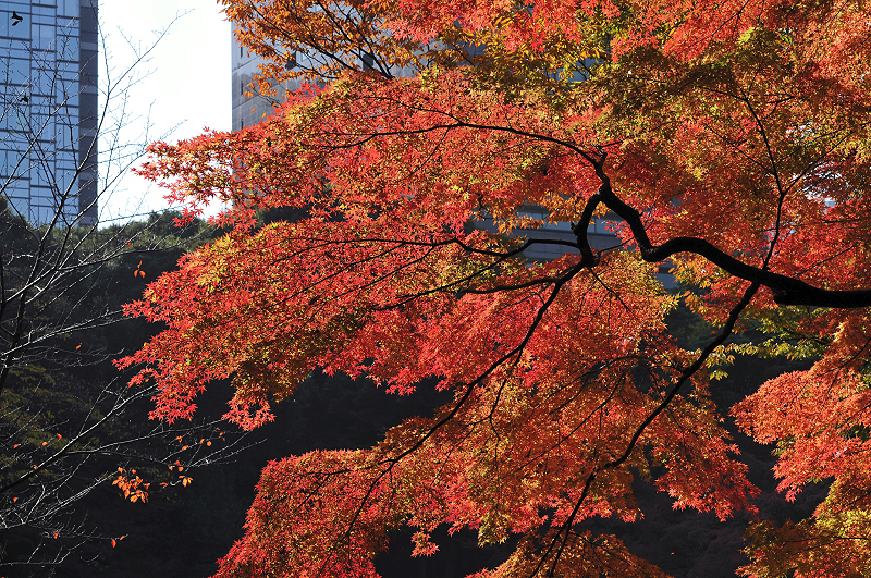 image0105