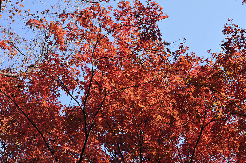image0147