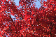 image0164
