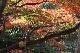 image0170