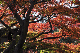 image0172