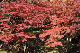 image0174