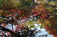 image0176