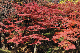 image0178