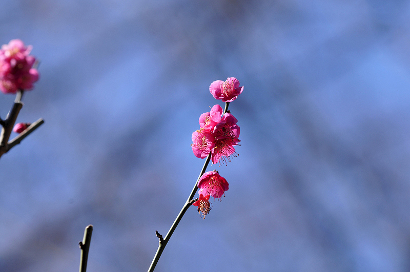 image0104