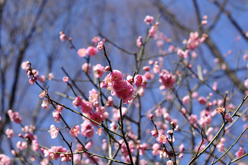 image0108