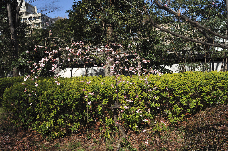 image0118