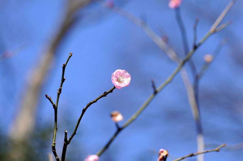 image0119